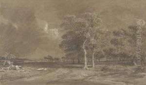 An Extensive Parkland Landscape