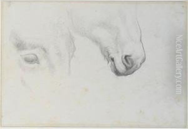 Sixteen Drawings Of Various 
Subjects Including Moses In The Bullrushes, Judith With The Head Of 
Holofernes, Mourners At A Tomb, Horse Studies And Figure Studies - view 1