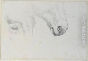Sixteen Drawings Of Various
Subjects Including Moses In The Bullrushes, Judith With The Head Of
Holofernes, Mourners At A Tomb, Horse Studies And Figure Studies by Paul Delaroche