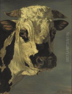 Head Of A Bull, After Paulus Potter by Henri Delattre