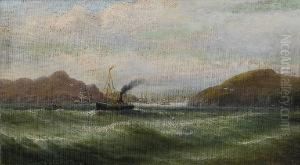 A Whaling Fleet In The Bay Of Islands, New Zealand