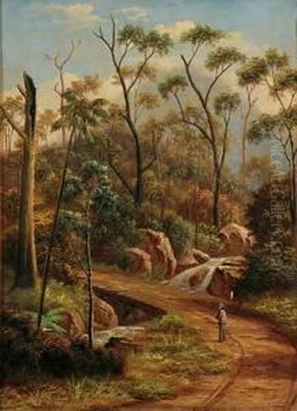 Road To Balmoral - view 1
