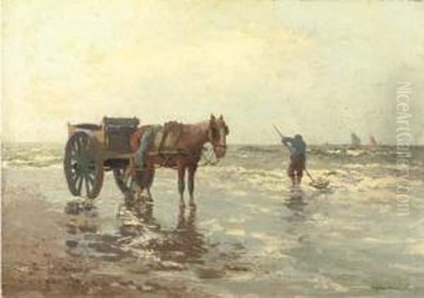 Shellfisher On The Beach - view 1