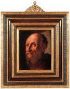 Ritratto Di Vecchio Barbuto
