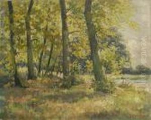 Zomerlandschap. Zomerlandschap.
