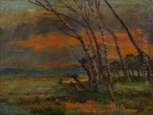 Paysage Paysage