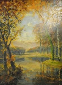 Sous-bois