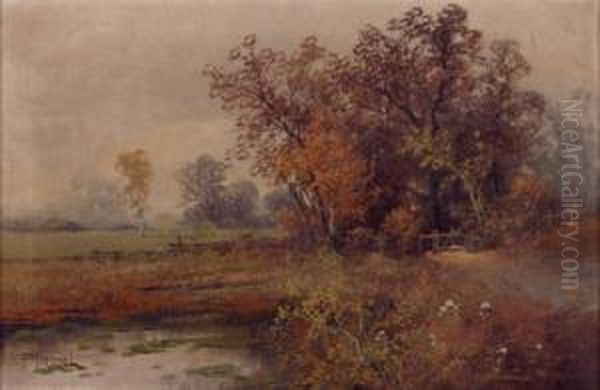Herbstlandschaft - view 1