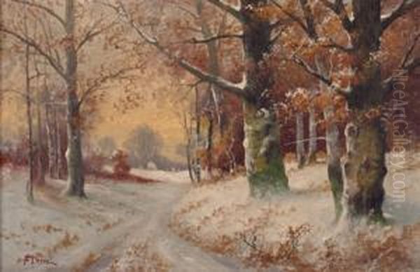 Winterlandschaft - view 1