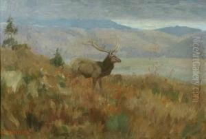 The Elk In A Western Landscape by Edwin Willard Deming