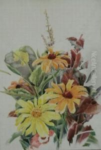 Garden Flowers