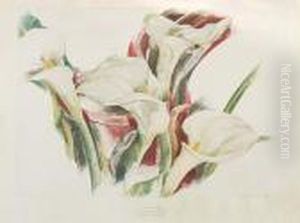 Calla Lilies Calla Lilies