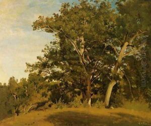 Fountainebleau - Aux Georges d'Apremont by Jean-Baptiste-Camille Corot