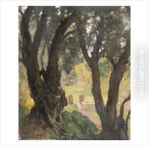 Oliviers Au-dessus De La Terrasse