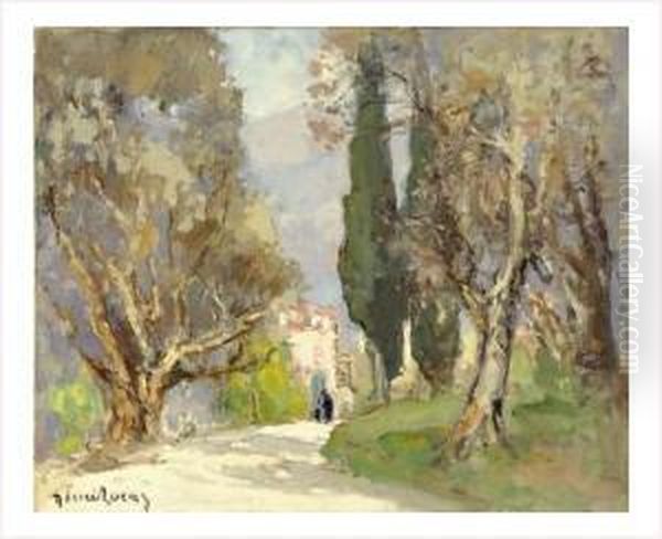 La Route De Contes (alpes Maritimes) - view 1