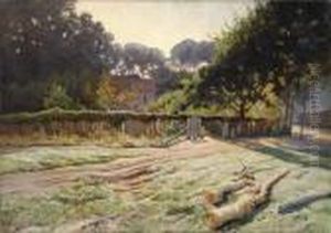 Effet De Soleil Le Matin A Lacaneau (gironde) by Xavier Desparmet-Fitzgerald