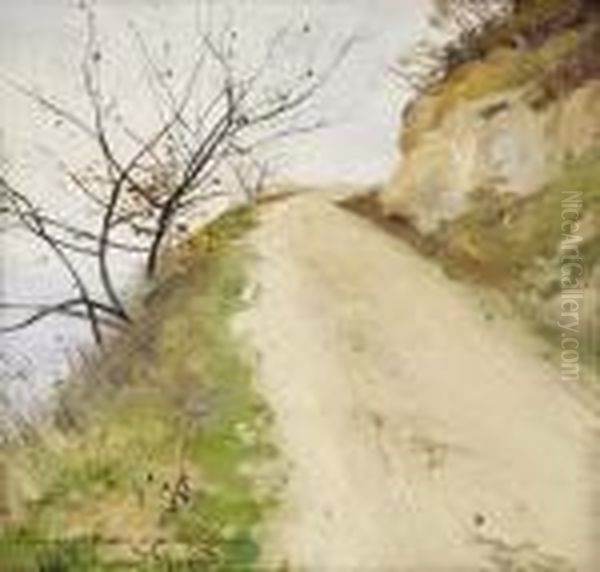 Chemin Tournant Et Arbustes - view 1