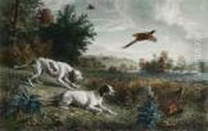 Hunting Dogs by Alexandre-Francois Desportes