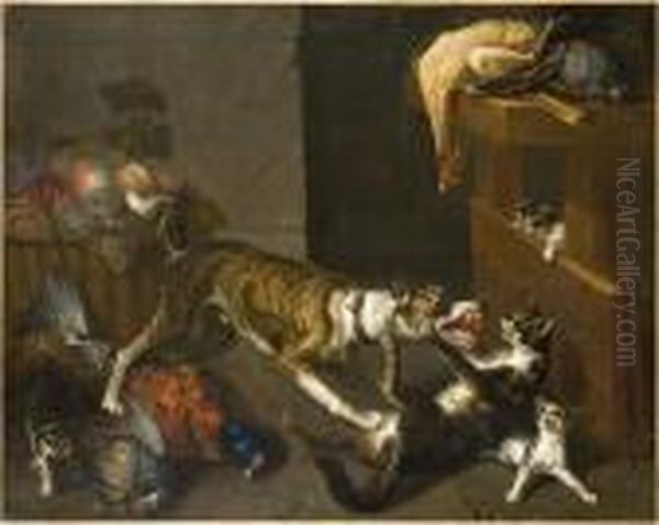 Entre Chien Et Chat - view 1