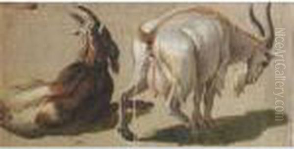 A Study Of Two Goats - view 1