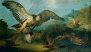Aigle Poursuivant Des Perdrix