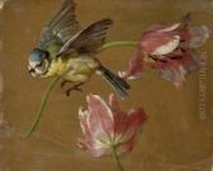A Study Of Two Tulips And A Bluebird A Study Of Two Tulips And A Bluebird