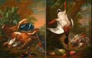 Still Life Studies Of A Dead Hare