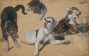 Quatre Chatons Quatre Chatons