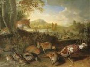 English And French Partridge