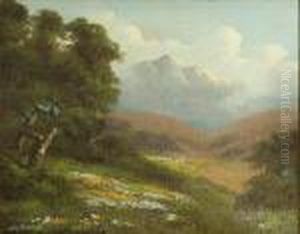 A View Of Mt. Tamalpais by Richard Detreville