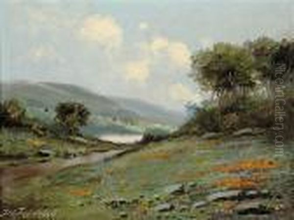 Calm Landscape - view 1