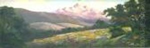 Spring Wildflowers With Mountains In The Background by Richard Detreville