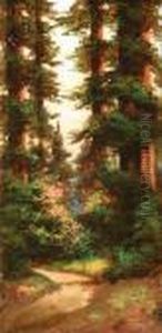 Path Through The Redwoods, Mt. Tamalpais by Richard Detreville