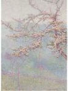 Blossom Blossom