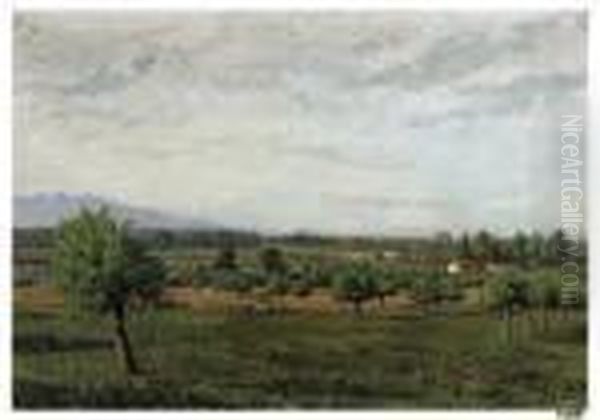 Campagna Piemontese - view 1