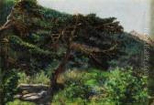 "paesaggio Montano" 1911/12 - view 1