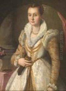 Ritratto Di Gentildonna by Santi Di Tito