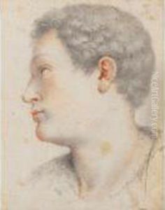 Tete De Jeune Homme De Profil by Santi Di Tito