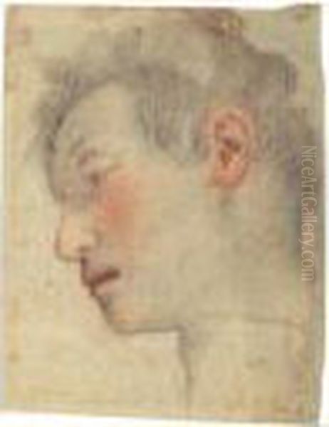 Study Of A Head - view 1