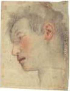 Study Of A Head