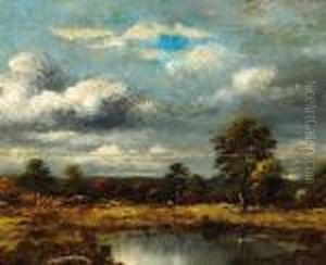 Paysage A L'etang