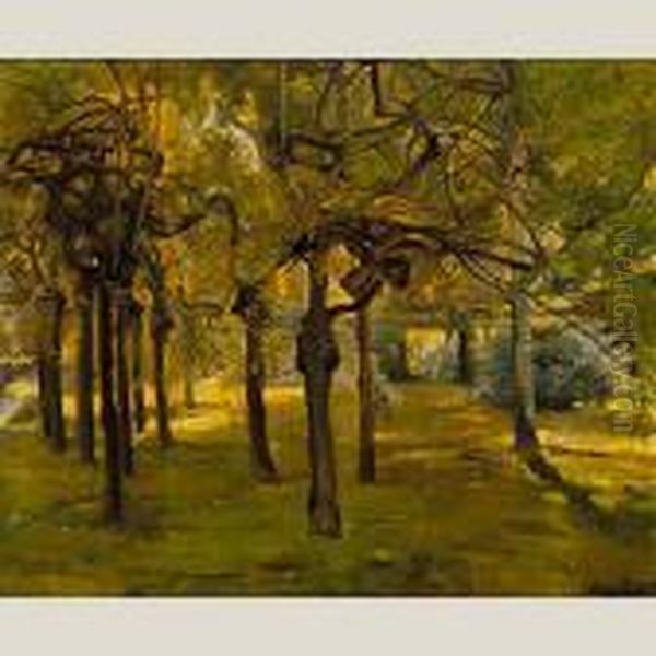 Bosque Italiano - view 1