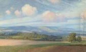 The South Downs