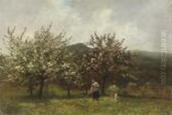 In A Flowering Orchard - view 1