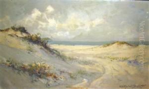 Dunes by Arthur Vidal Diehl
