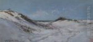 Snowy Dunes Snowy Dunes