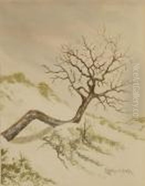 Tree And Dune Study - view 1