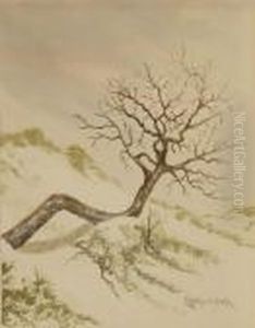 Tree And Dune Study Tree And Dune Study