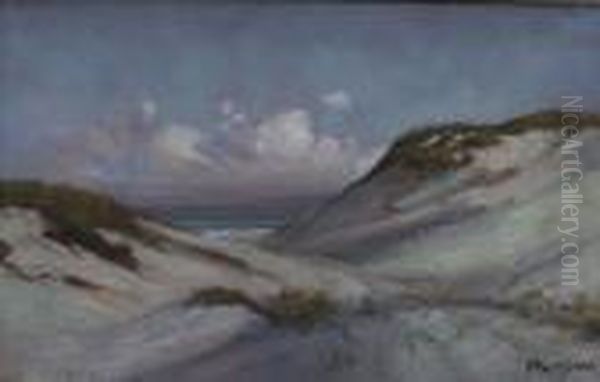 Cape Cod Dunes - view 1