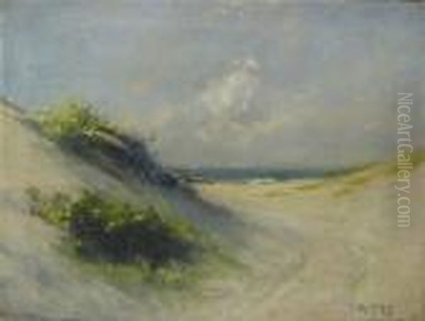 The Purple Hills - view 1